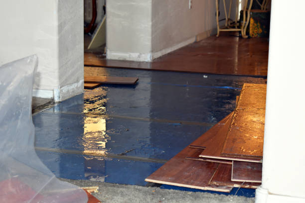 Professional Emergency Water Damage technician working in Blum, TX